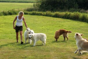 Anne-Sofie og hundevennerne