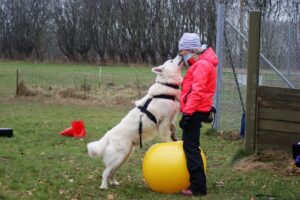 Mickey giver Anne-Sofie et kys