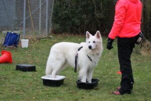 Micke og Anne-Sofie træner i baljer