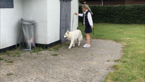 Micke og Anne-Sofie træner