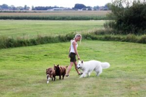 Anne-Sofie og hundevennerne på graes