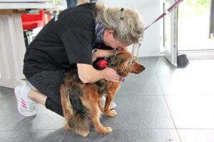 Åbent hus Mickey´s Hundehus