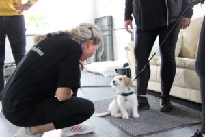 Åbent hus Mickey´s Hundehus