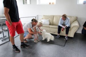 Åbent hus Mickey´s Hundehus