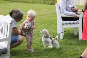 Åbent hus Mickey´s Hundehus