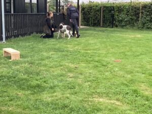 Udstrækningsøvelse