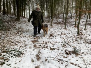 IMG_3342