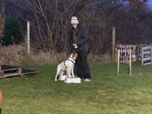 IMG_3378 (002)